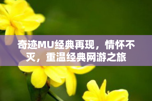 奇迹MU经典再现,情怀不灭,重温经典网游之旅 奇迹MU经典再现,情怀不灭,重温经典网游之旅