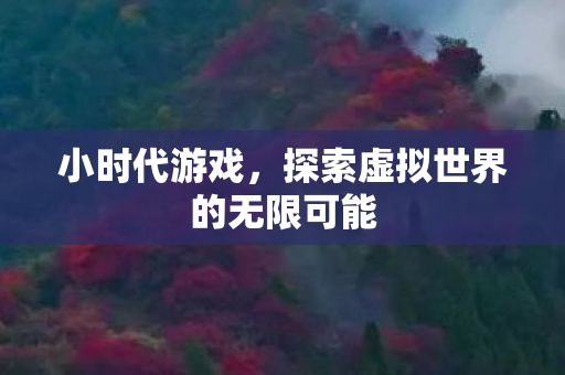 小时代游戏,探索虚拟世界的无限可能 小时代游戏,探索虚拟世界的无限可能