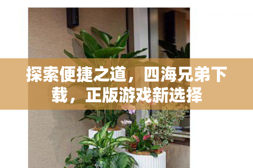 探索便捷之道,四海兄弟下载,正版游戏新选择 探索便捷之道,四海兄弟下载,正版游戏新选择