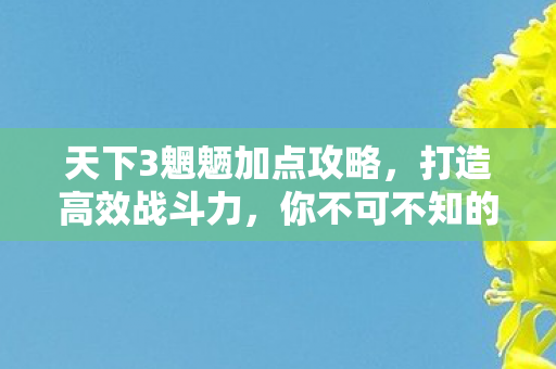 你不可不知的加点技巧图片