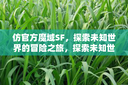 探索未知世界的冒险之旅图片