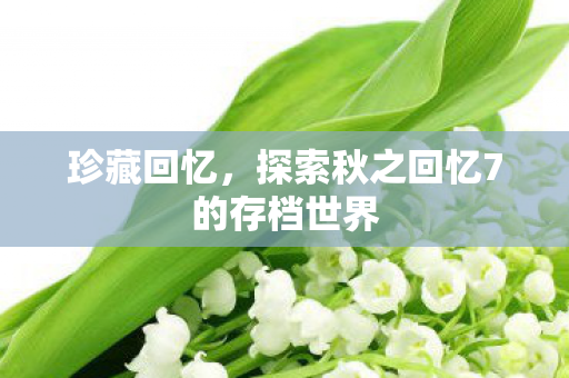珍藏回忆，探索秋之回忆7的存档世界