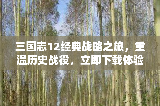 三国志12经典战略之旅,重温历史战役,立即下载体验! 三国志12经典战略之旅,重温历史战役,立即下载体验!