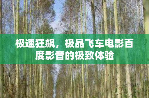 极品飞车电影百度影音的极致体验图片