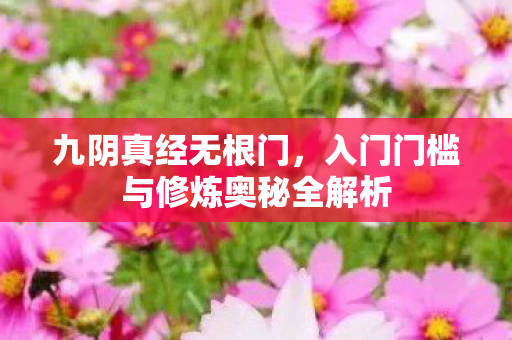 入门门槛与修炼奥秘全解析图片