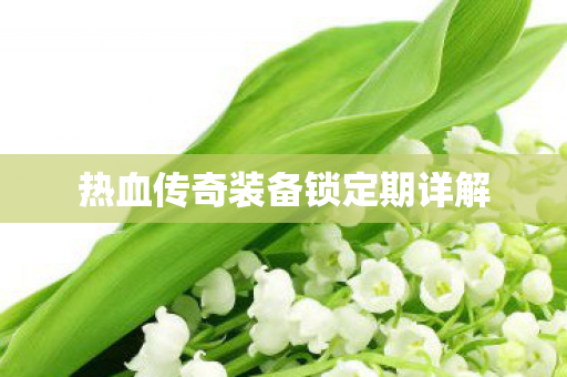 热血传奇装备锁定期详解图片