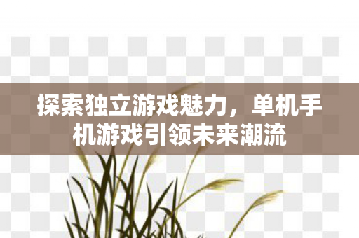 探索独立游戏魅力,单机手机游戏引领未来潮流 探索独立游戏魅力,单机手机游戏引领未来潮流