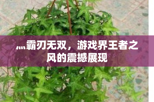 游戏界王者之风的震撼展现图片