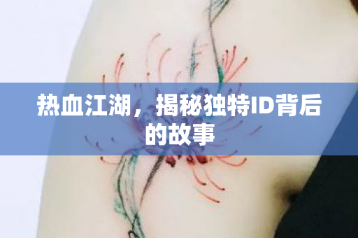 揭秘独特ID背后的故事图片