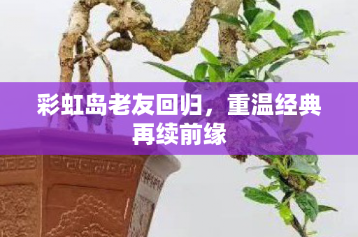 重温经典再续前缘图片