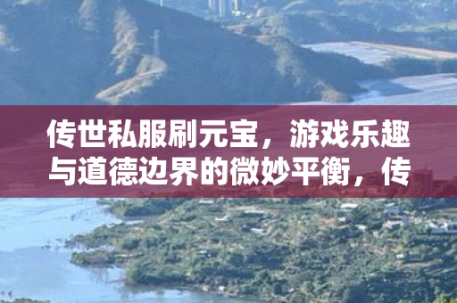 传世私服刷元宝，游戏乐趣与道德边界的微妙平衡，传世私服刷元宝，游戏乐趣与道德界限的微妙平衡