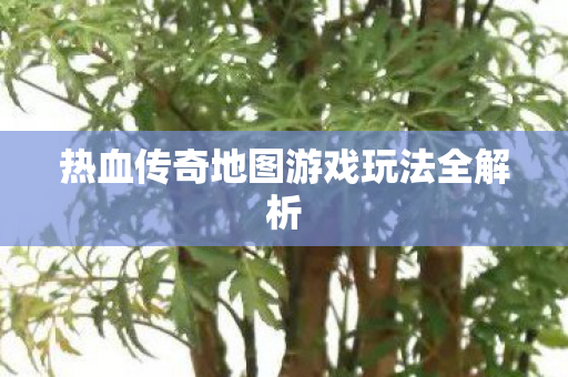 热血传奇地图游戏玩法全解析图片