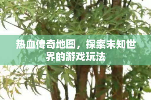 探索未知世界的游戏玩法图片