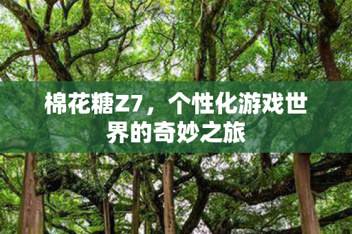 个性化游戏世界的奇妙之旅图片