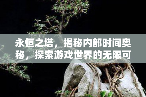 永恒之塔,揭秘内部时间奥秘,探索游戏世界的无限可能 永恒之塔,揭秘内部时间奥秘,探索游戏世界的无限可能