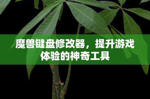 魔兽键盘修改器,提升游戏体验的神奇工具 魔兽键盘修改器,提升游戏体验的神奇工具