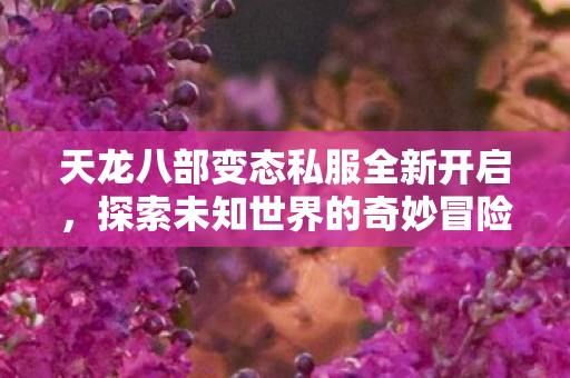 天龙八部变态私服全新开启,探索未知世界的奇妙冒险之旅 天龙八部变态私服全新开启,探索未知世界的奇妙冒险之旅