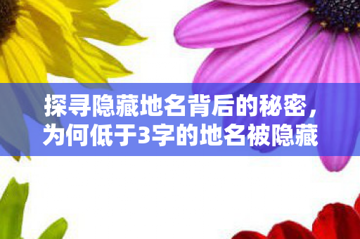 探寻隐藏地名背后的秘密,为何低于3字的地名被隐藏? 探寻隐藏地名背后的秘密,为何低于3字的地名被隐藏?