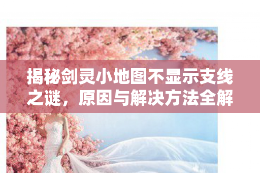 揭秘剑灵小地图不显示支线之谜,原因与解决方法全解析 揭秘剑灵小地图不显示支线之谜,原因与解决方法全解析