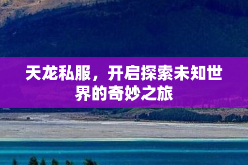 天龙私服,开启探索未知世界的奇妙之旅 天龙私服,开启探索未知世界的奇妙之旅