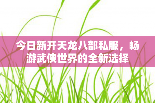 畅游武侠世界的全新选择图片