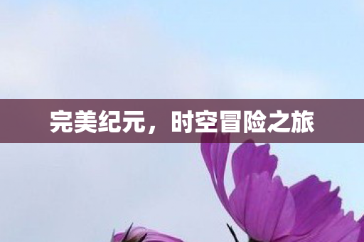 时空冒险之旅图片