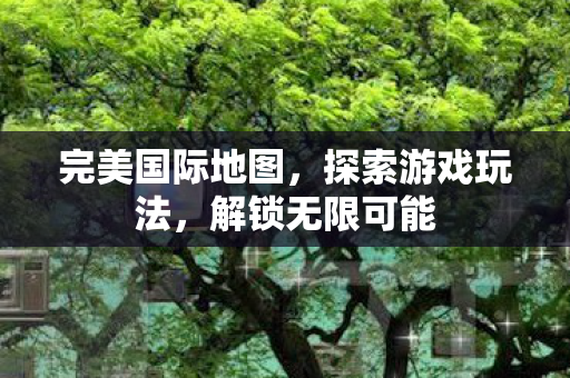 完美国际地图图片