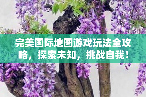 完美国际地图游戏玩法全攻略图片