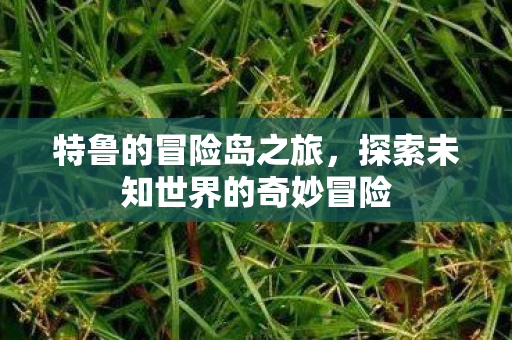 特鲁的冒险岛之旅,探索未知世界的奇妙冒险 特鲁的冒险岛之旅,探索未知世界的奇妙冒险