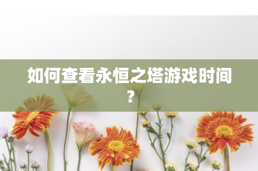 如何查看永恒之塔游戏时间? 如何查看永恒之塔游戏时间?