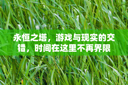 永恒之塔,游戏与现实的交错,时间在这里不再界限 永恒之塔,游戏与现实的交错,时间在这里不再界限