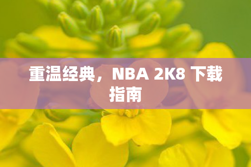 重温经典,NBA 2K8 下载指南 重温经典,NBA 2K8 下载指南