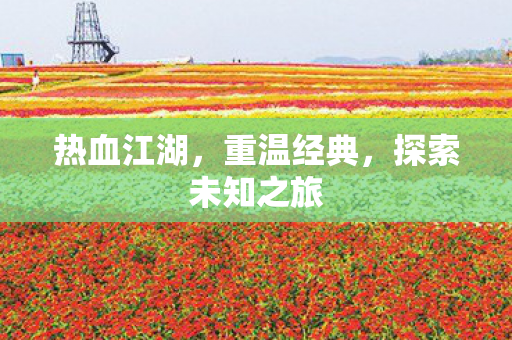热血江湖,重温经典,探索未知之旅 热血江湖,重温经典,探索未知之旅