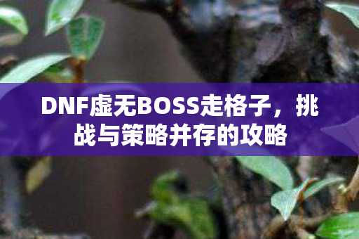 DNF虚无BOSS走格子,挑战与策略并存的攻略 DNF虚无BOSS走格子,挑战与策略并存的攻略