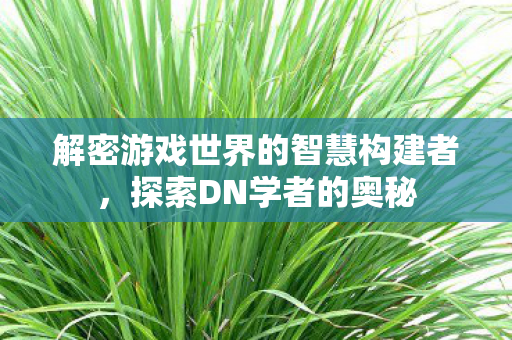 解密游戏世界的智慧构建者,探索DN学者的奥秘 解密游戏世界的智慧构建者,探索DN学者的奥秘