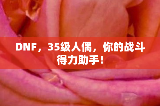DNF,35级人偶,你的战斗得力助手! DNF,35级人偶,你的战斗得力助手!