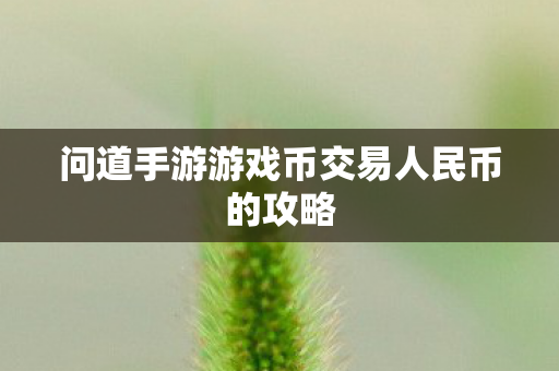 问道手游游戏币交易人民币的攻略图片