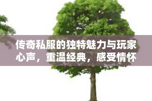 传奇私服的独特魅力与玩家心声图片
