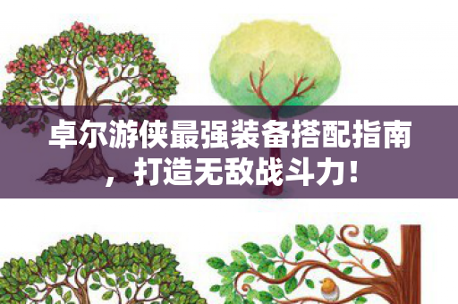 卓尔游侠最强装备搭配指南图片