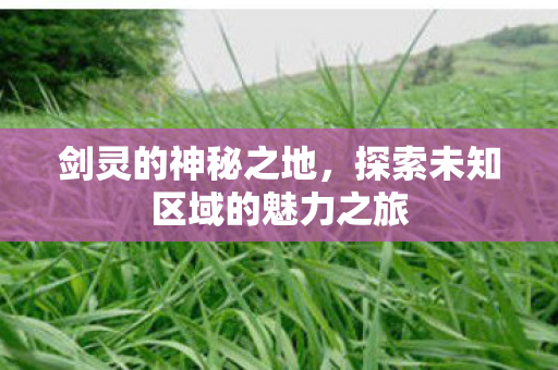 剑灵的神秘之地,探索未知区域的魅力之旅 剑灵的神秘之地,探索未知区域的魅力之旅