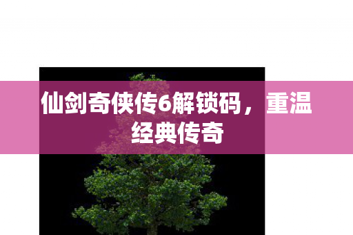 仙剑奇侠传6解锁码，重温经典传奇