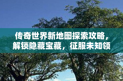 传奇世界新地图探索攻略图片