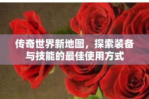 探索装备与技能的最佳使用方式图片