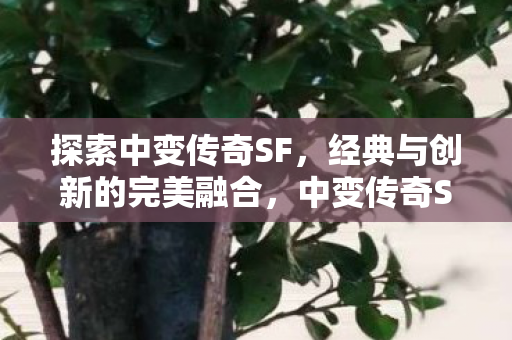 探索中变传奇SF，经典与创新的完美融合，中变传奇SF，经典与创新的完美融合