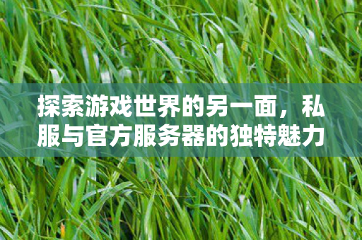 私服与官方服务器的独特魅力图片