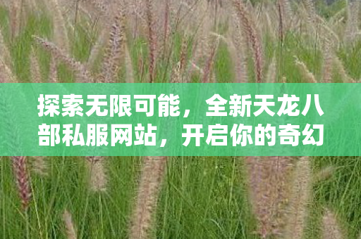 探索无限可能，全新天龙八部私服网站，开启你的奇幻冒险之旅