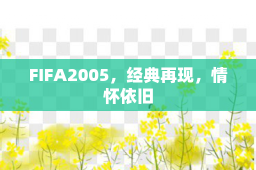 FIFA2005,经典再现,情怀依旧 FIFA2005,经典再现,情怀依旧