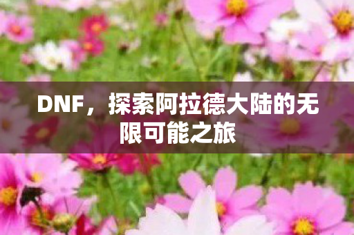 探索阿拉德大陆的无限可能之旅图片