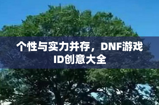 DNF游戏ID创意大全图片