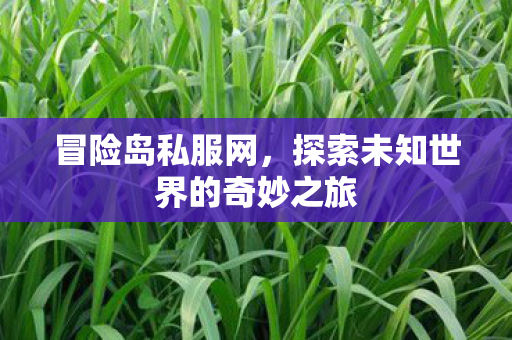 探索未知世界的奇妙之旅图片